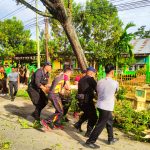 Respon Cepat Personil Satrimobda Gorontalo bersihkan Pohon Tumbang Yang Menghalangi Jalan